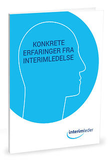 17 interime historier