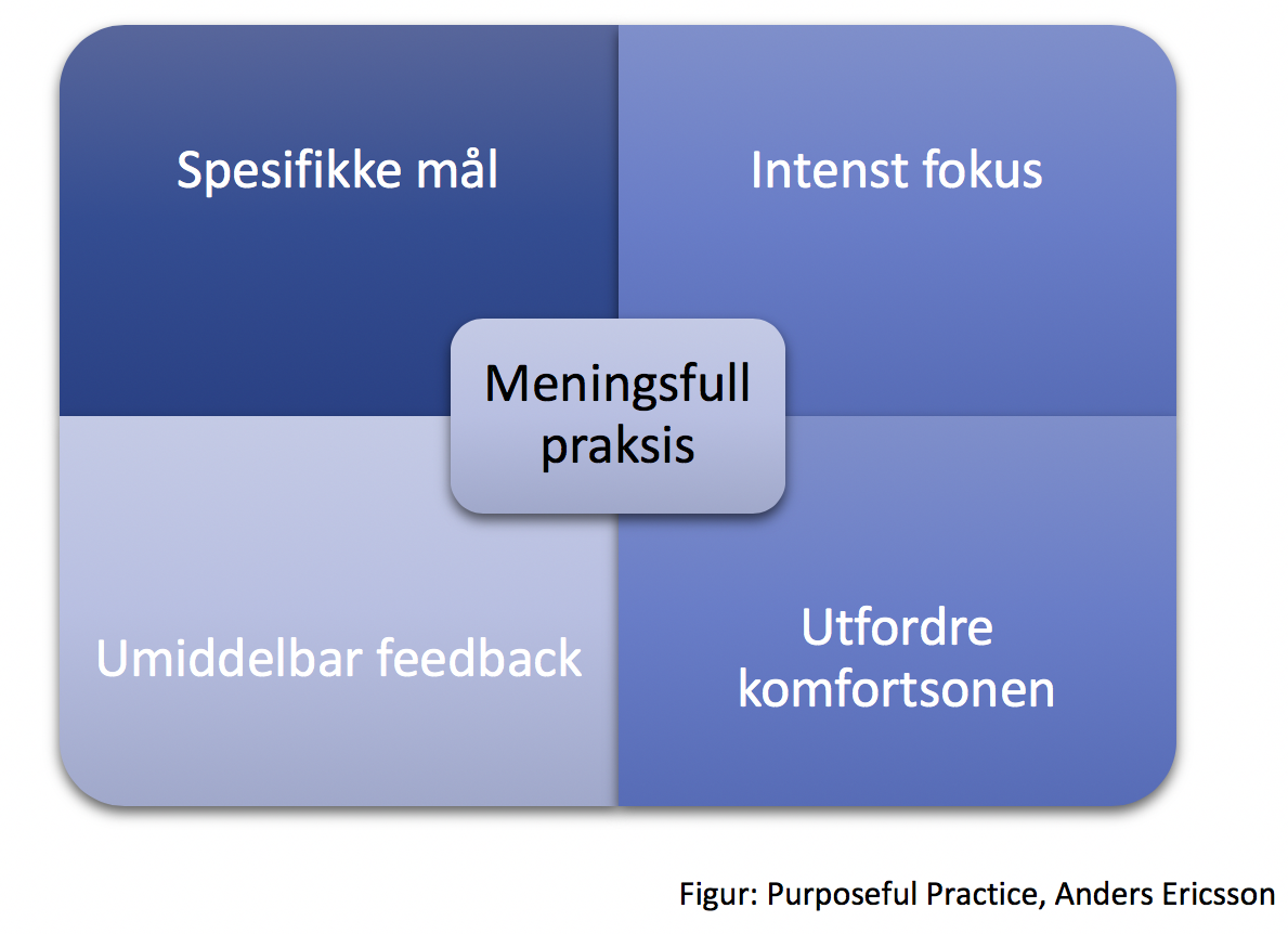 Purposeful Practice / Meningsfull praksis / Anders Ericsson / PEAK